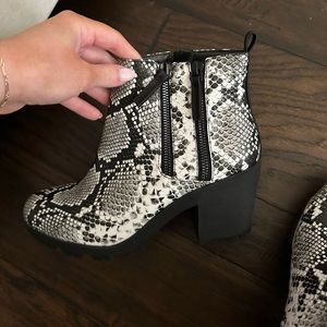 Cooya DSW snakeskin booties